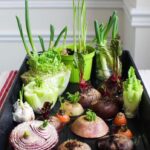 10 Best Plants To Grow For Backyard Privacy