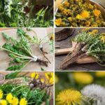 Here’s Why You Want to Hang an Overripe Banana in your Garden