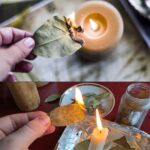 A Guide to Cultivating Blackberries in Pots: Tips and Techniques