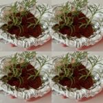 I had no idea! Gotta do this for my entryway