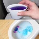 Bringing Traditional Woodworking’s Beauty to Light!