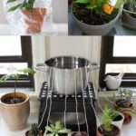 Yellowing Pillows Need to Be Cleaned