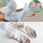 Oil, NEVER throw away this part of the cap: it is very important | That’s exactly what it’s for.