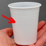 Golden Crusted Beef and Potato Pie Recipe