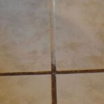 All My Life I Have Used the Toilet Block Wrong: Here’s the Right Way to Hang It