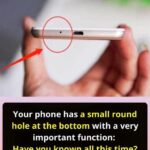 I didn’t know about all of these!