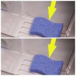 The vegetable that prevents diabetes, kidney disease and asthma