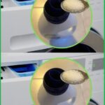 Turmeric Golden Milk: The Ancient Drink That Will Change Your Life