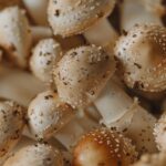 Goodbye plant pests if you put this in the ground, that’s what