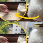 Cool House Secrets You Didn’t Even Know!