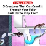 Natural Whitener: Only 1 Tablespoon in the Washing Machine is Enough for White and Spotless Laundry!