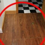 Put ice cubes in the sink. An amazing hack seen on TikTok! How does it work?