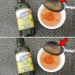 Put a bottle in the shower drain: what happens is unexpected