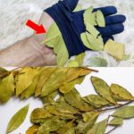 Why Your Feet Are Always Cold & What To Do About It