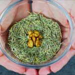 99% of people mistakenly think it’s an egg beater