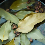 Unexpected Answers Revealed for 6 Mysterious Things