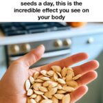 8 best fertilizers for your tomatoes so they grow like never before