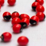 If Your Watermelon Starts to Look Like This, Get Rid of It Immediately