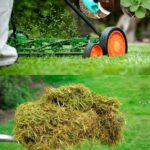 The Secret Power of Vinegar: 20 Gardening Problems Solved