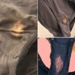 10 Ideas for Reusing Empty Tuna Cans: Creativity and Ecology in One