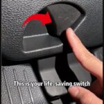 Say Goodbye to Sugar: Enjoy Healthy Cookies Without Flour and Sugar!