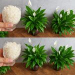 You’re Probably Keeping THESE 16 Things—and You Really Shouldn’t!