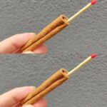 They look so harmless