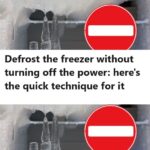 If Your Watermelon Starts to Look Like This, Get Rid of It Immediately