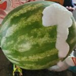 Defrost the freezer without turning off the power: here’s the quick technique for it