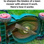 5 Natural Ingredients That Will Keep Slugs Away from Your Home