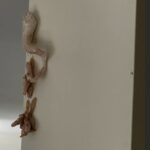 The mixture That Will Make Your House Smell So Wonderful… Your Neighbors Will Ask for the Secret