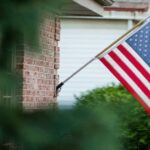 What’s Hiding in Backyards?