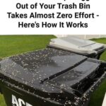 This is Why You Should Attach a Clothespin to the Shower