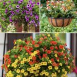 Black – Deep-Seated Fears and Emotional Burdens