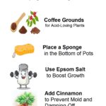 Stock up on baking soda. here is a list of all plants that bloom bigger with this 1 recipe