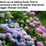 20 top gardening hacks