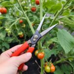 Keep Your Hanging Flowers Blooming All Summer Long with These Brilliant Tips