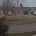 What Does a Purple Flag on the Beach Mean? Here’s What You Need to Know