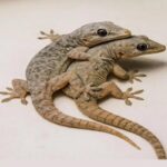 5 mistakes we make when drinking water