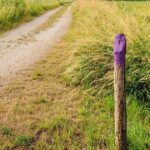 The Real Reason Plastic Chairs Have Holes