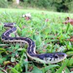 3 A.M : 4 Hidden Reasons Behind Your Repeated Night Wakings