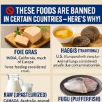 Warning: 6 Common Vegetables That Naturally Contain Toxins