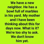 My Neighbor Drove over My Lawn Every Day as a Shortcut to Her Yard