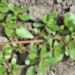 10 Common Mistakes to Avoid When Buying Life Insurance