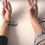 Don’t Let Good Veggies Go to Waste! Your Guide to June’s Harvest