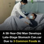 The Evolution of Corn on the Cob Holders: A Journey through History, Design, and Cultural Significance