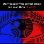 Grow Big Basil in a Pot: Step-by-Step Guide