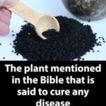 What can your legs reveal about your health?