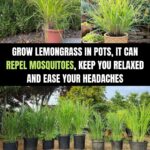 The first thing you see in this picture reveals a lot about your personality