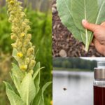 According To Laundry Experts, You Should Be Washing Your Sheets At Least Once A Week